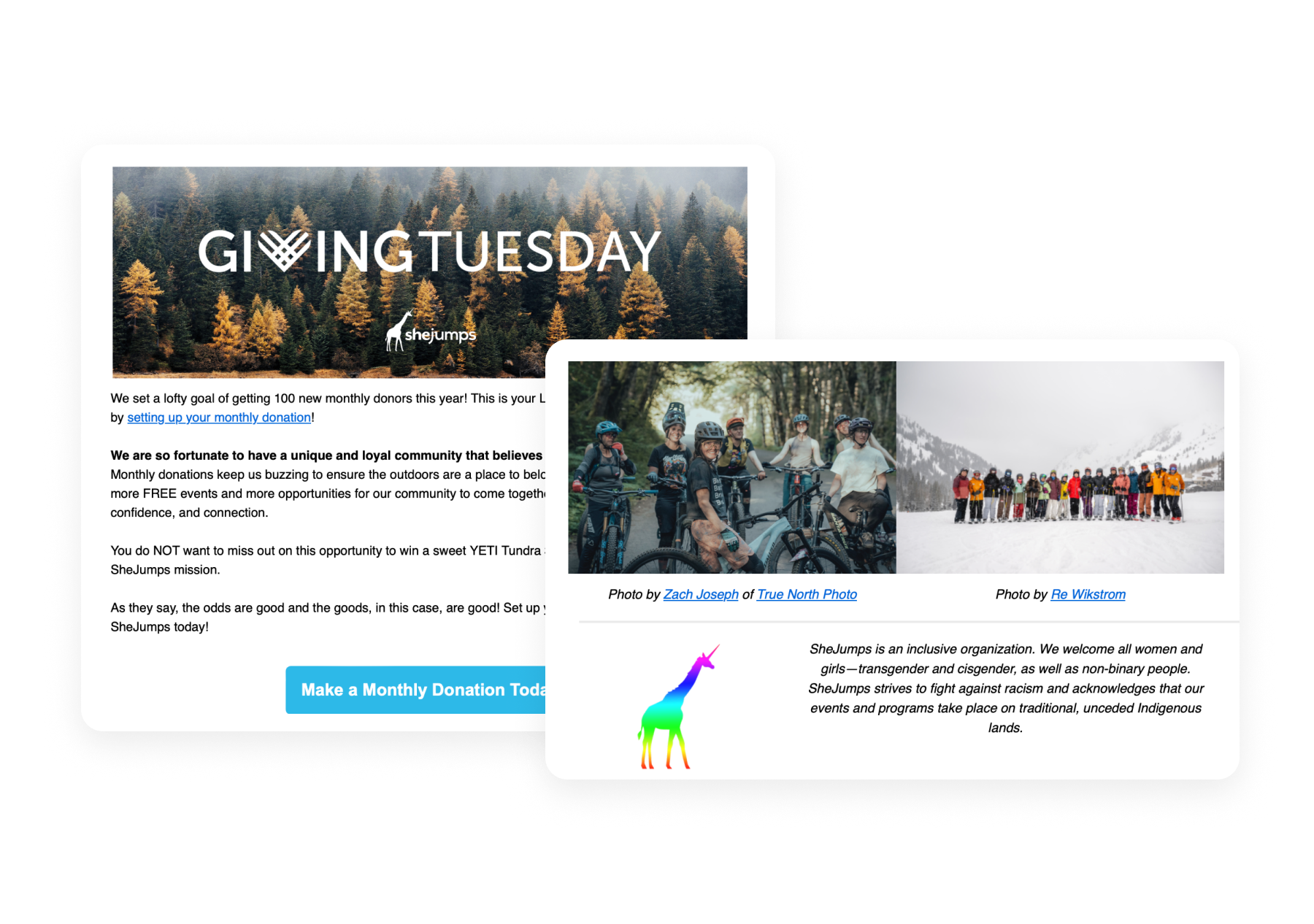 She Jumps Giving Tuesday email example