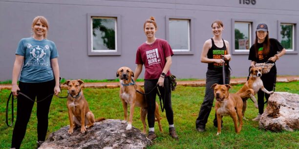 Austin Pets Alive! header image